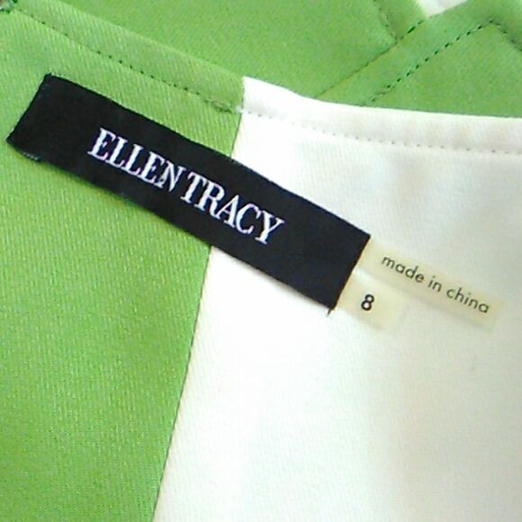 Ellen Tracy Beautifully Seamed Colorblock Dress - Picture 9 of 11